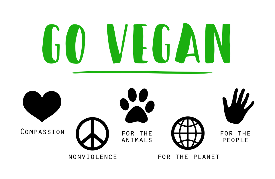 dolci vegani