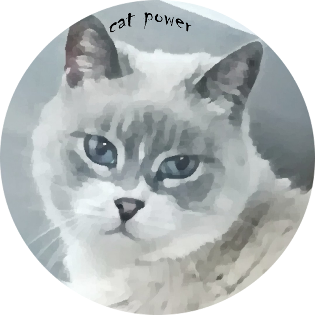 Un gatto non è solo un gatto