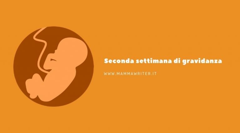 seconda settimana di gravidanza
